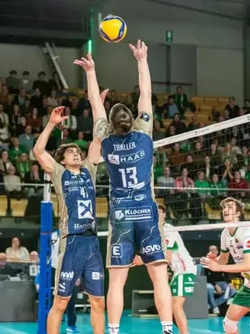 TSV-Volleyball-Teams am Wochenende mit herausfordernden Auswärtsspielen in der Bundesliga
